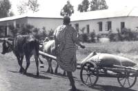 Studienfahrt nach Tansania 1972